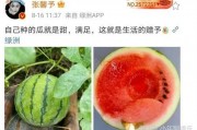 娱乐吃瓜新鲜事,揭秘明星幕后故事