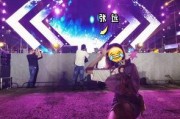 张远演唱会爆料视频,独家爆料视频揭秘精彩瞬间