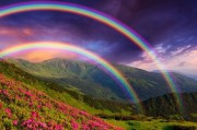 雨后彩虹爆料最新消息,最新消息带你领略彩虹背后的科学奥秘