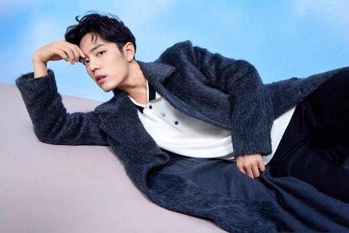 肖战娱乐八卦会长吃瓜,揭秘会长吃瓜背后的真相与内幕