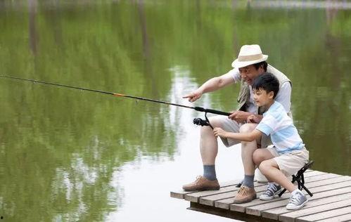 娱乐吃瓜君钓鱼,揭秘娱乐圈背后的秘密与八卦